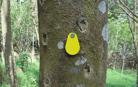 rfid tree tracking tags|rfid real time tracking.